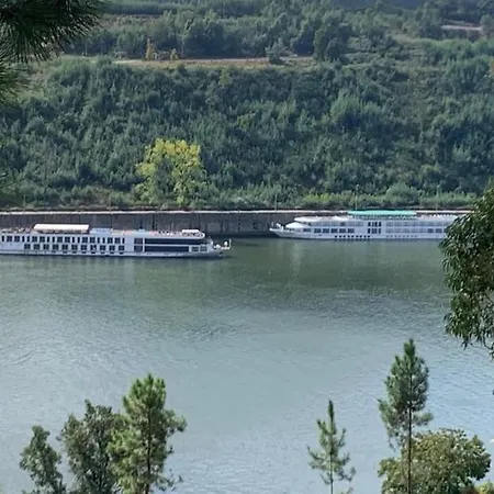 Medronho D'ouro * Foz do Sousa