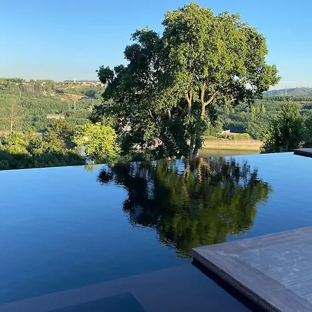 Medronho D'ouro Foz do Sousa