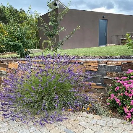 Casa de Férias Medronho D'ouro