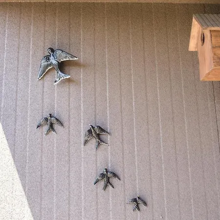 Medronho D'ouro Foz do Sousa