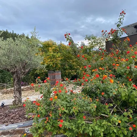 Medronho D'ouro 펜션 *