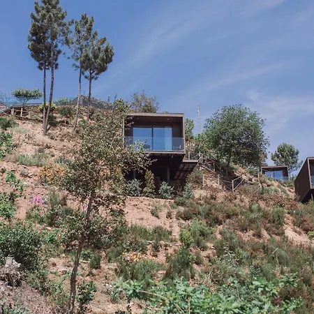 Medronho D'ouro Foz do Sousa