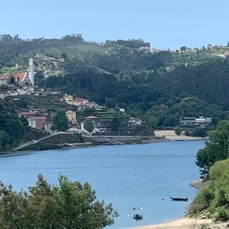 Medronho D'ouro