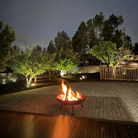 Medronho D'ouro * Foz do Sousa