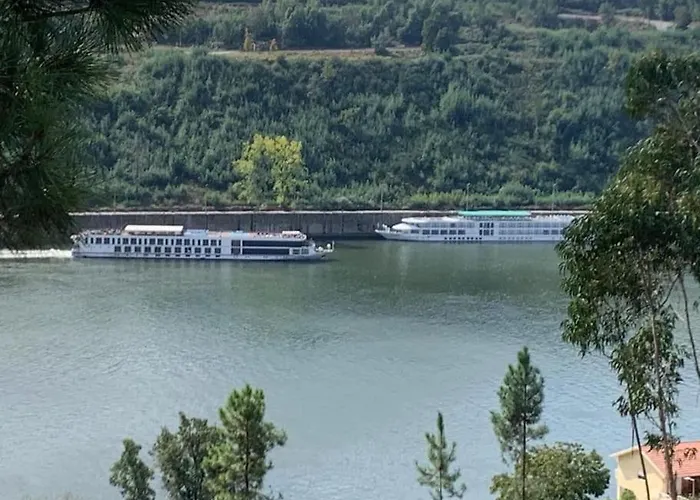 Medronho D'ouro * Foz do Sousa