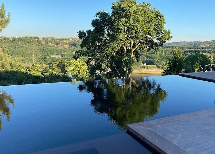 Medronho D'ouro Foz do Sousa