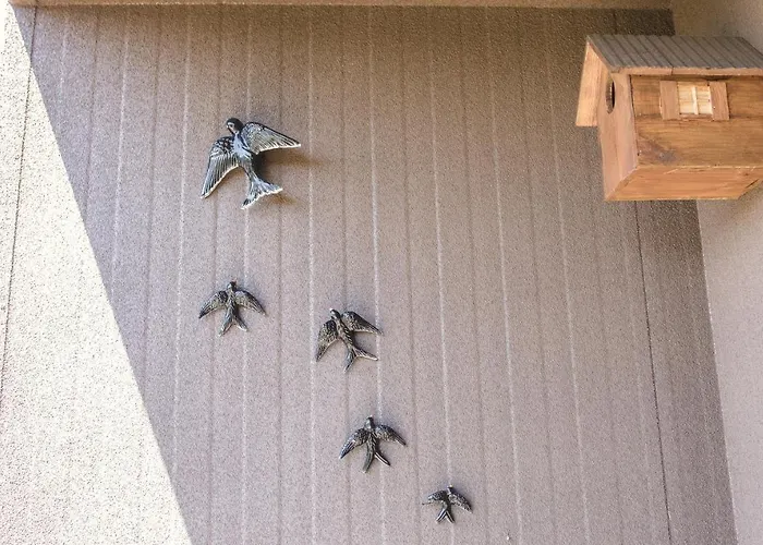 Medronho D'ouro Foz do Sousa