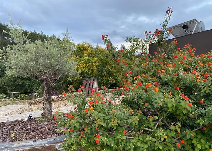 Medronho D'ouro بيت للعطل *