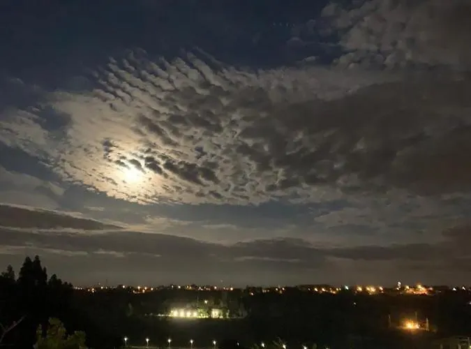 Medronho D'ouro Feriehus *