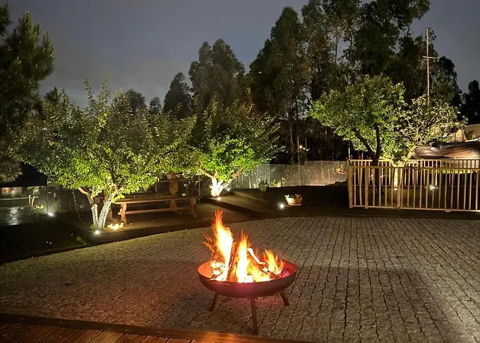 Medronho D'ouro * Foz do Sousa