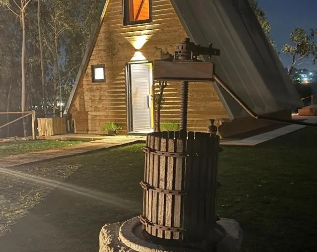 Medronho D'ouro Feriehus Foz do Sousa